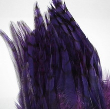 schlappen + saddle grizzy purple